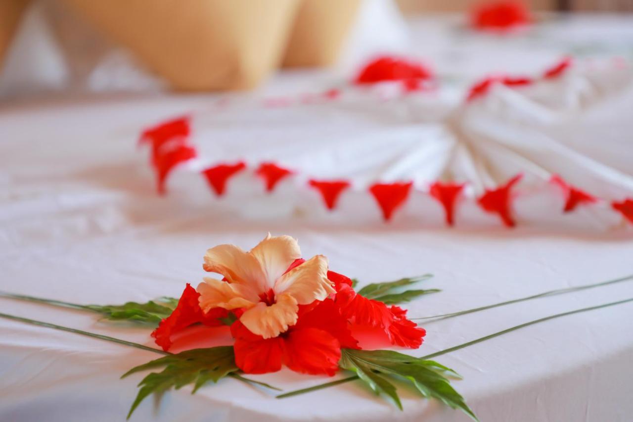Amazing View Guest House Тодду Экстерьер фото
