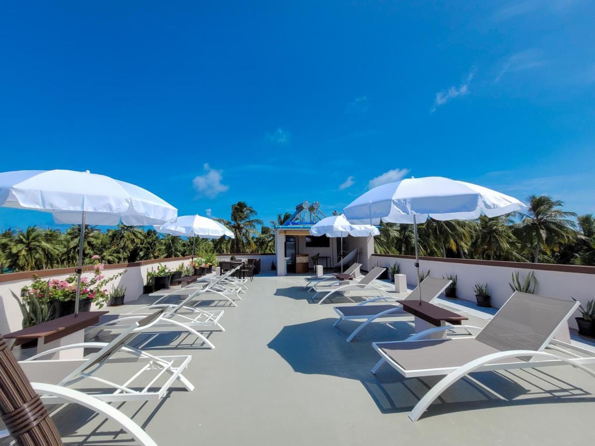 Amazing View Guest House Тодду Экстерьер фото